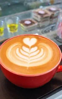 آموزش باریستا/بیشترین کارآموز در سطح کشور