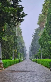 همسفر
