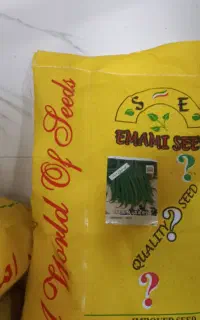 بذر لوبیا سبز