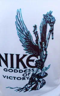 چاپ تیشرت و غیره