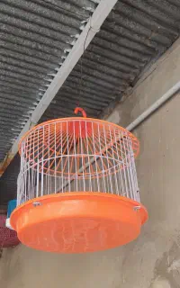 سهره خاکی