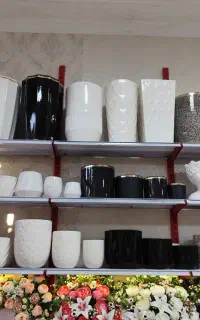 گلدان به قیمت عمده چون کارم پخشه قیمت خیلی پایینه