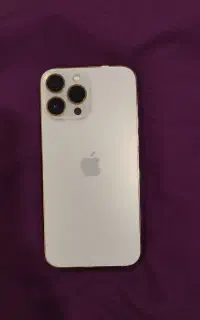 ۱۳پرومکس