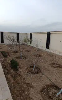 باغبانی.تیلرزنی.هرس.درخت.سم پاشی