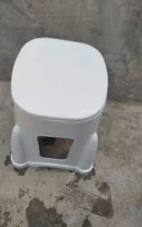 توالت فرنگی