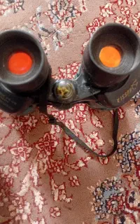 دوربین شکاری بایگیش روسی