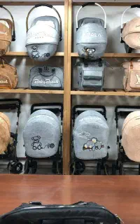 سیسمونی کامل با تنوع بالا