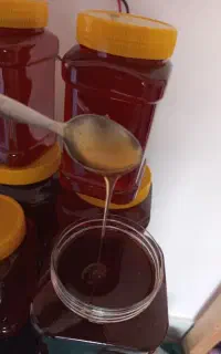 عسل