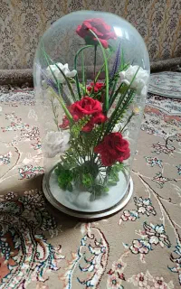 تعدادی باکس گل وگلدان