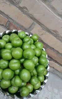 گوجه سبز درجه یک