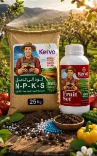 کیفیت بالای میوه با کود آلی و گیاهی
