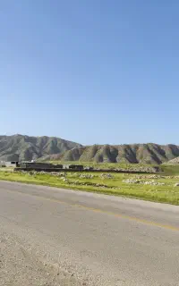 تخریب کار