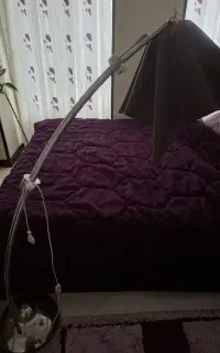 اباژور