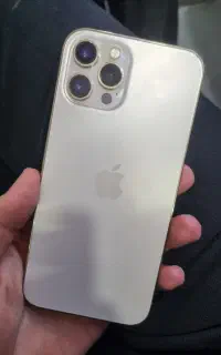 12 pro max