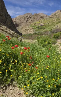 سفر گروهی یک روزه سرتنگ مالاقا