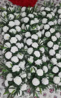 پنل گل داودی