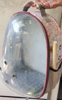 کوله پت