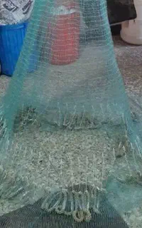 تورپرتابی چشمه۴