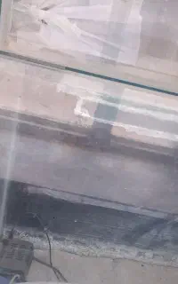 اکواریم بزرگ