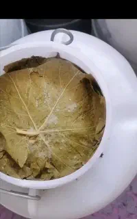 برگ انگور شور
