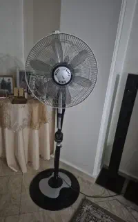 پنکه