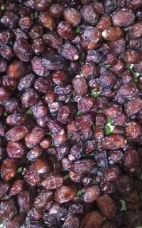 خرمای کشتی ممتاز