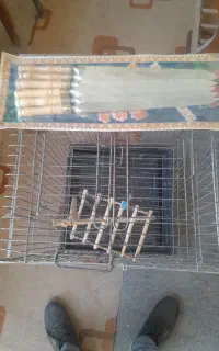 قفس
