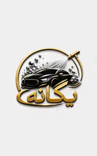 استخدام نیرو کارواش