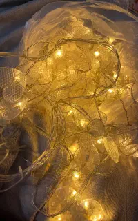 ریسه قلبی