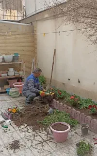 باغبانی هرس کاری گل کاری تعویض خاک گلدان شمشادزنی