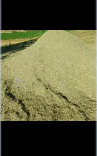علف خرمانکوب شدن