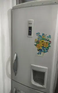 یخچال فریزر اسنوا