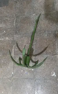 وسایل ماهی گیری