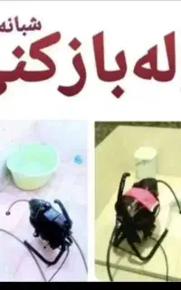 لوله بازکنی بلوچ
