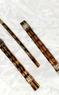 ساز جفتی نوای (بندری)