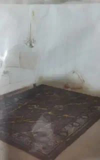 روکش فرش  کش دار