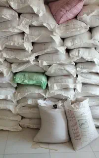 فروش گندم سرداری و زردگ اصلاح شده بذری