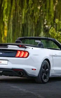 خودرو گذر موقت