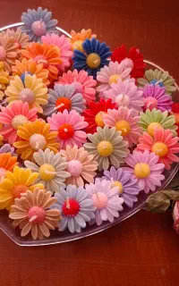 شمع مارگریت یا بابونه عمده