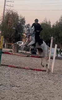 مادیان پرشی