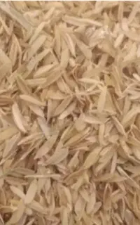 پوست اول برنج شلتوک خرید فروش
