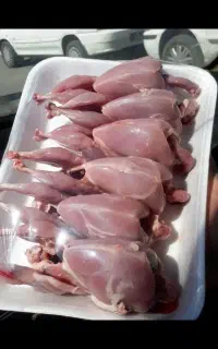 گوشت قرمز