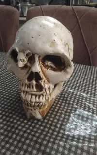 مجسمه اسکلت