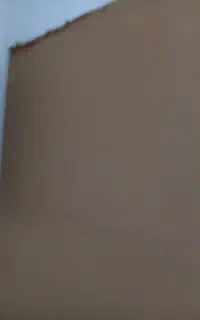 گچ برگ