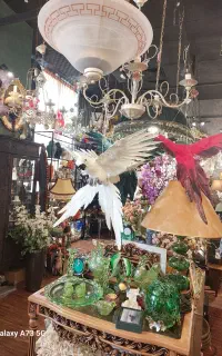 همکار فروشنده