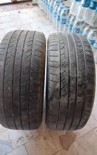 لاسیتک سایز 16