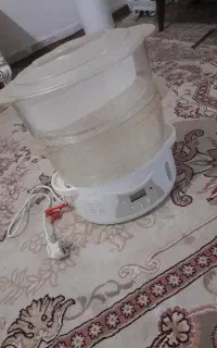 بخار پز