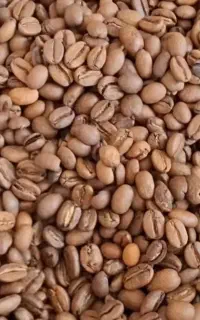 نیروی کار آقا برای قهوه خانه