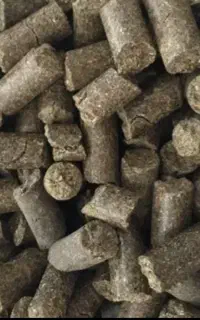 خورک دام پلت