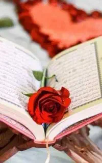 تلاوت و ختم قران
